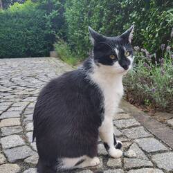 Verschmuster Besuch am Abend