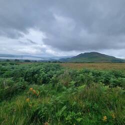 Conic Hill