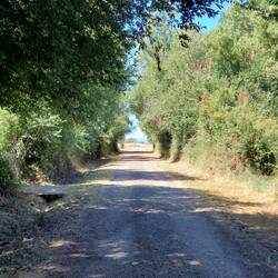 Kiesweg, aber etwas grüner.