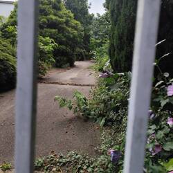 ... Das war nicht der Weg zur Eremitage... Aber verlockend wos da hingeht