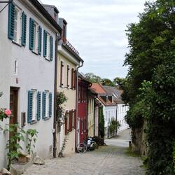 Cute houses