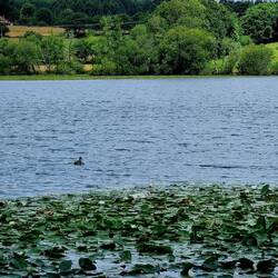 Lagoa Sobrado dos Monxes