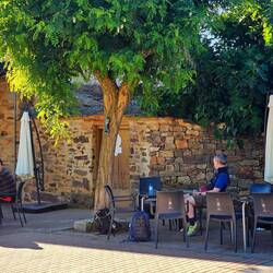 Spot squatting at our breakfast cafe. It was hoppin'