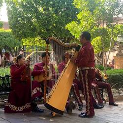 The Jadine - entertainment every night