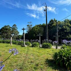 Crosses, crosses and more crosses