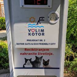 Kotor's public cat boxes
