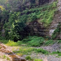 Watkins Glen