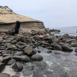 Jolla cove