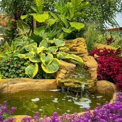 Butterflies @ Chatfield — Littleton, CO.