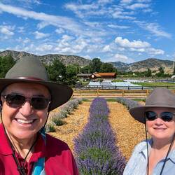 Lavender Festival @ Denver Botanic Gardens at Chatfield Farms — Littleton, CO.