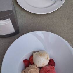 Zum Dessert Roggenbrotpudding und dreierlei Eis