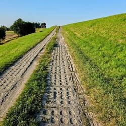 Auffahrt auf den Damm: Gleich wird sich wohl die Weichsel blicken lassen!?