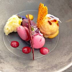 Beerenvariation- Blaubeerganache, Johannesbeere Macarons, Moltebeere Sorbet