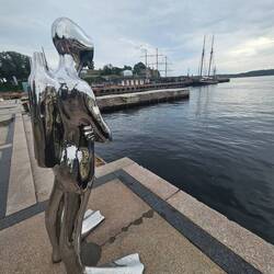 Der silber spiegelnde Taucher