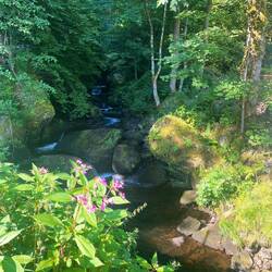 Triberg auf dem Heimweg