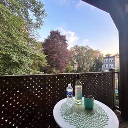 There are no more trips and action here for now … just enjoy and chill