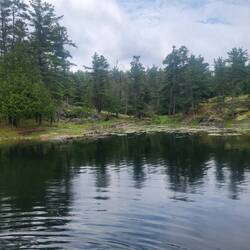 The back of the anchorage had a marsh and a small river.