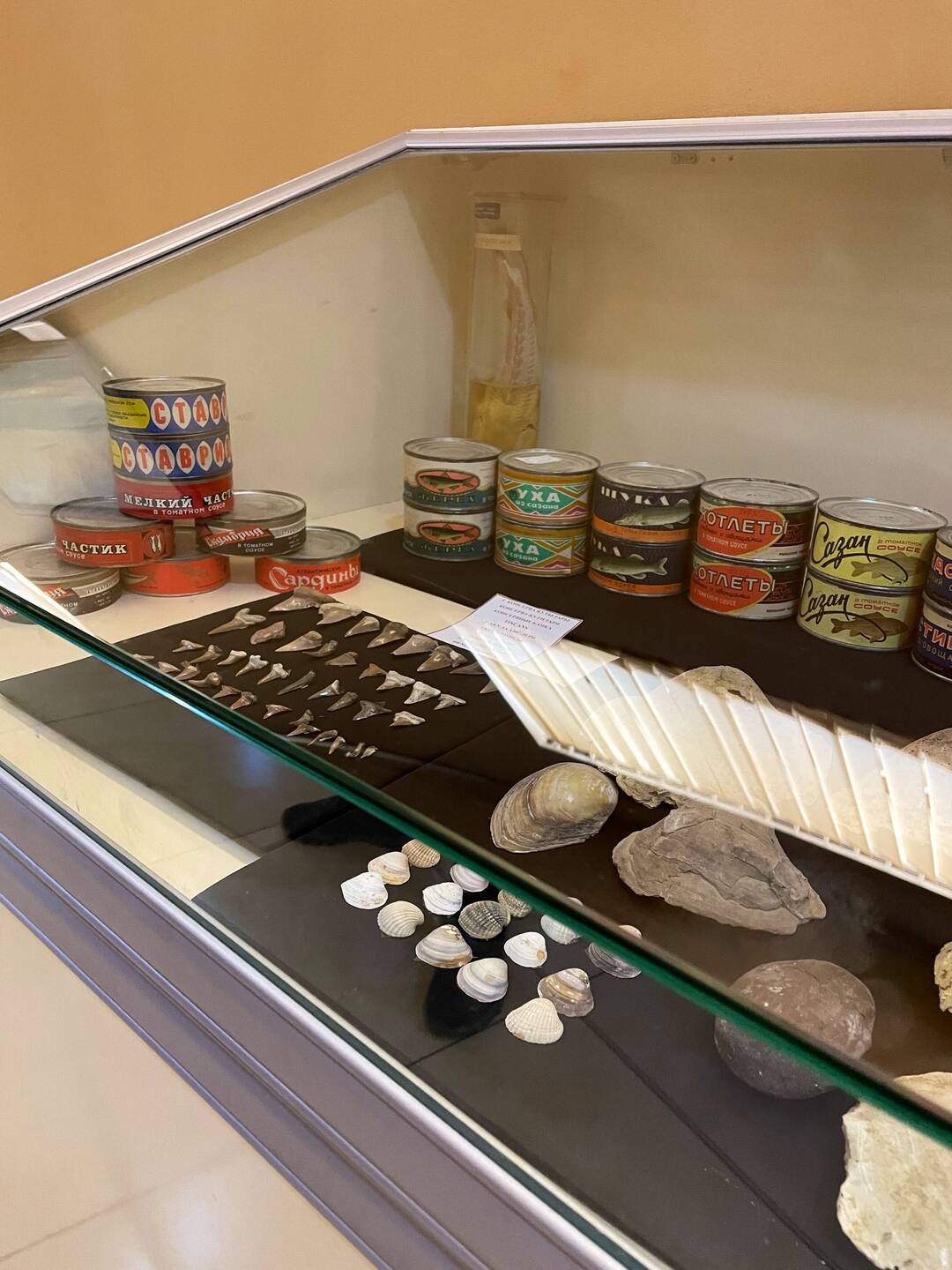 In Muynak hergestellte Fisch Dosen