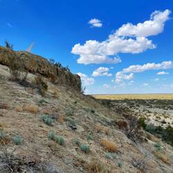 Der See ging bis zum Monument.