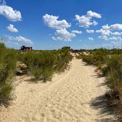 Auf dem Seegrund oder eben heute in der Wüste.