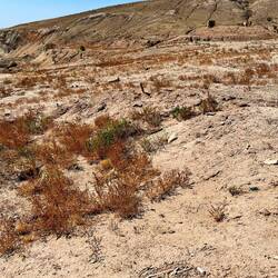 Die Überreste und Ruinen vom Fischerdorf