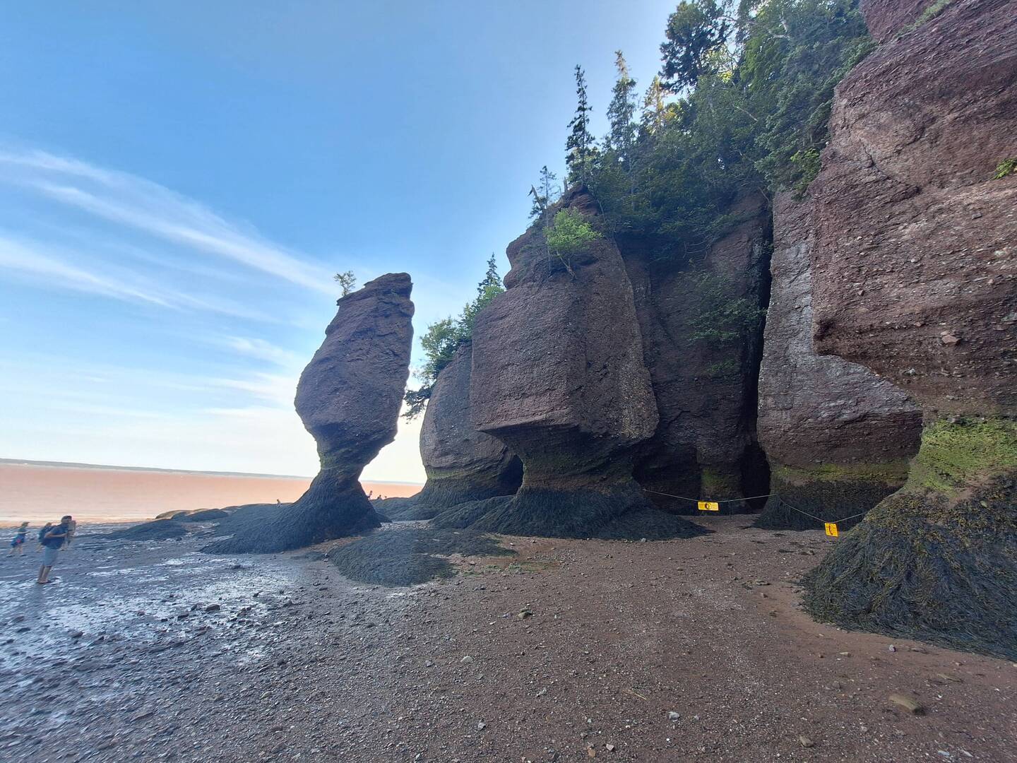Hopewell Rocks...Spaziergang bei Niedrigwasser