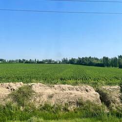 und es wird viel Landwirtschaft betrieben