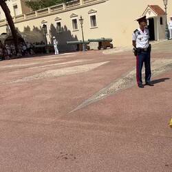 Changing of the guards at the Prince's Palace of Monaco.