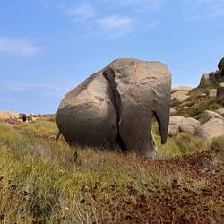 Da stand sogar ein Elefant.