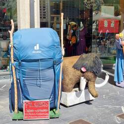 Pilgershop am Plaza España. Hier kaufe ich ein weiteres Paar meiner Funktionssocken. Ich brauchs!