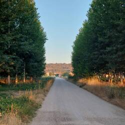 Weg nach Villares de Orbigo.