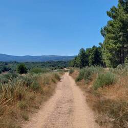 Der Weg aus Astorga führt ins Grüne - hinaus aus der Meseta. Endlich!