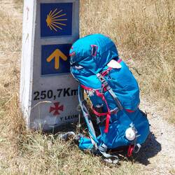 Es geht in großen Schritten voran...