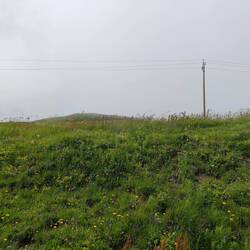 Schnell weiter hier... 🌫️