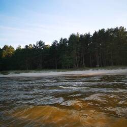 Waiting for us. Can you spot her?