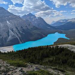 Wanderung Peyto Lake