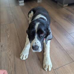 Zum letzten Mal Besuch bei Charlotte 😍