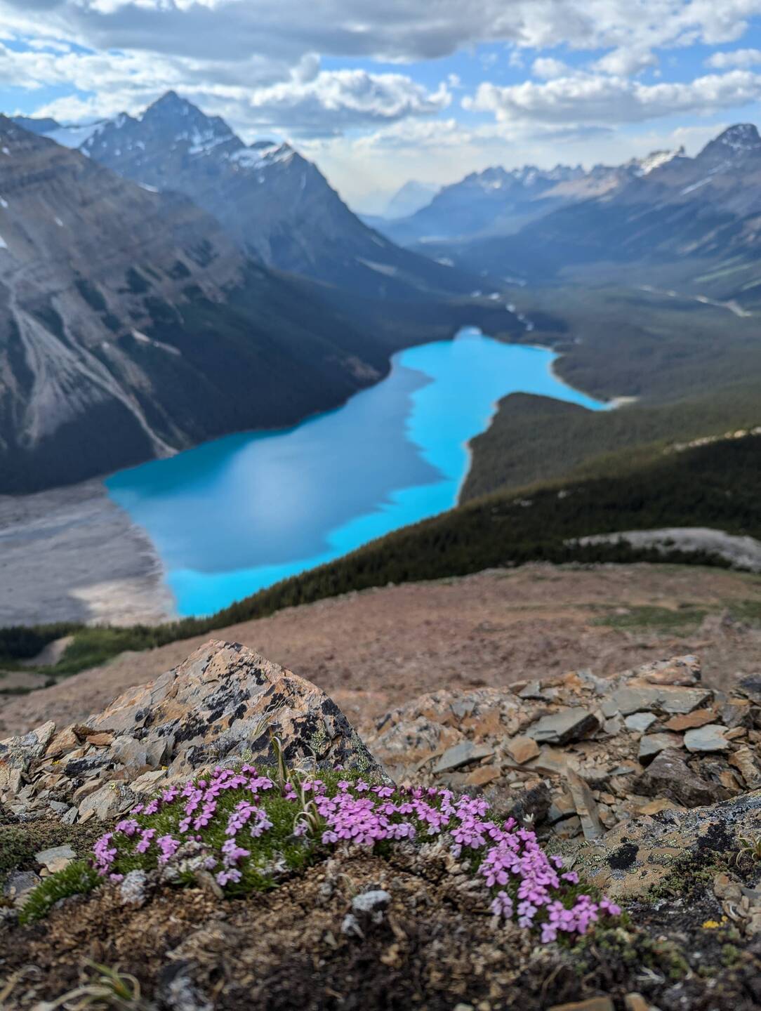 Peyto Lake