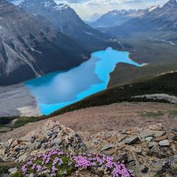 Peyto Lake