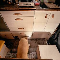 Okay, warum stehe ich heute IN meinem Futter?