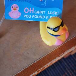 My duck! I will hide him on our next cruise