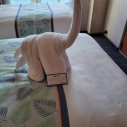 Today's towel animal- dinosaur