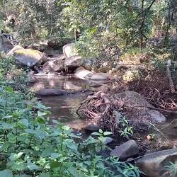 At the entrance to the Gorge