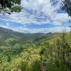 The Gorge, looking south from the north Ridge in summer, when pasture is at its best