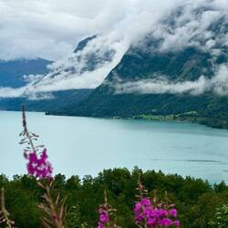 Fjord Lovatnet