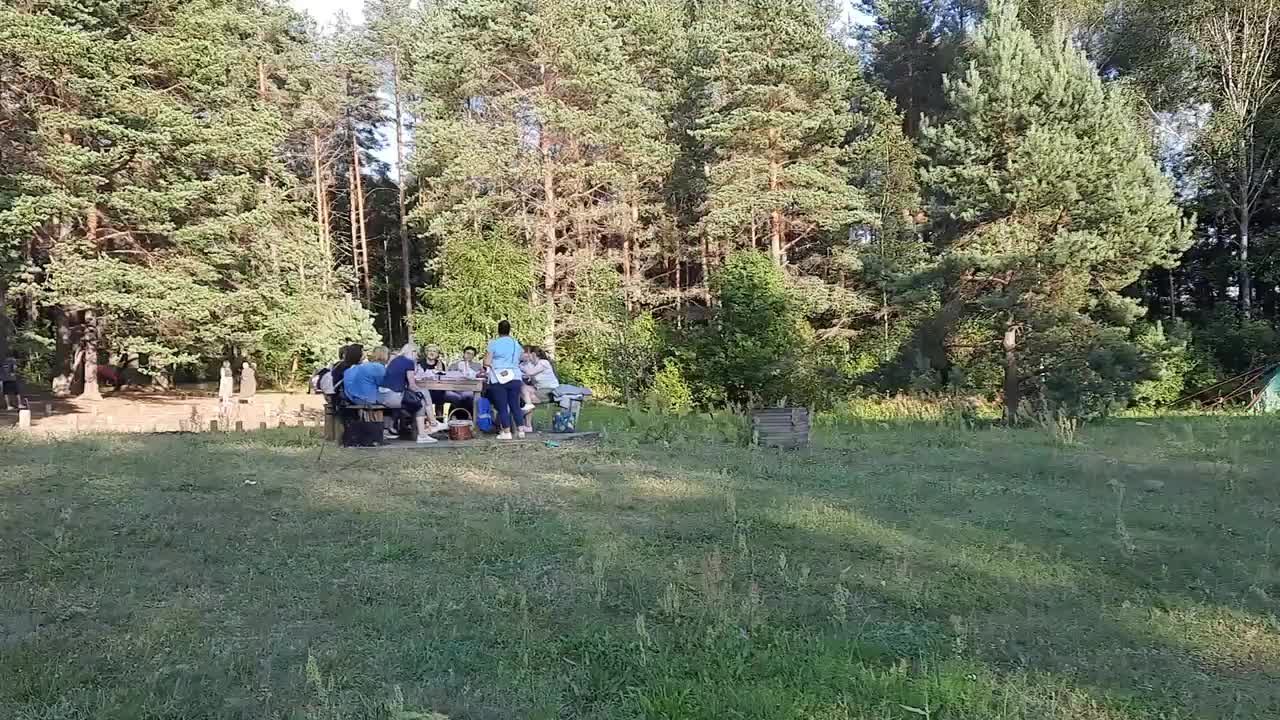 Litauische Sangeskultur