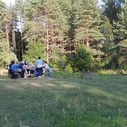 Litauische Sangeskultur