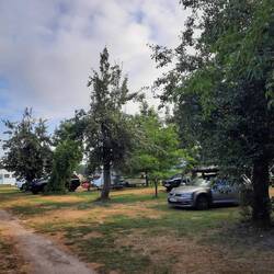 Wahlweise kann man im Schatten zwischen Bäumen oder auf der Wiese stehen