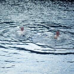 A shortish swim at Skomvær