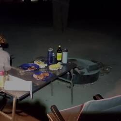 A jackal invites itself to dinner